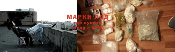 сатива Слюдянка