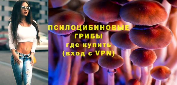 синтетический гашиш Богородск