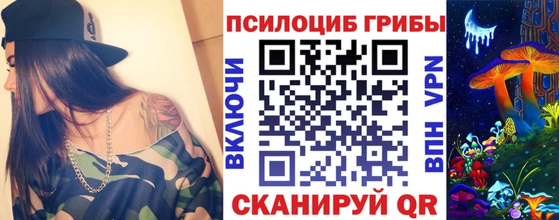 Псилоцибиновые грибы GOLDEN TEACHER  купить наркотики цена  Новотитаровская 
