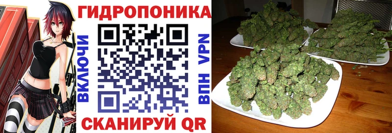 наркошоп  Новотитаровская  Шишки марихуана сатива 